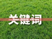 篮球赛场上的悬念之战，赛果扑朔迷离