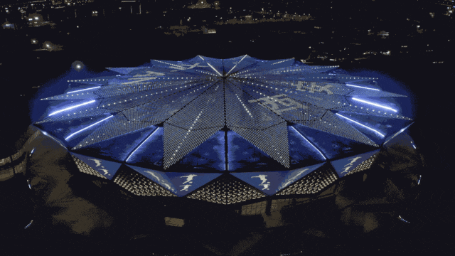 加拿大选手勇夺跳水金牌，星光熠熠的简单介绍