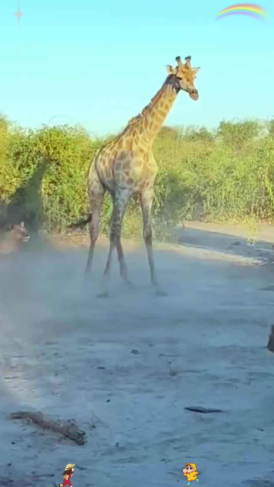 关于雄鹿大胜对手，将对手净胜分拉开差距的信息