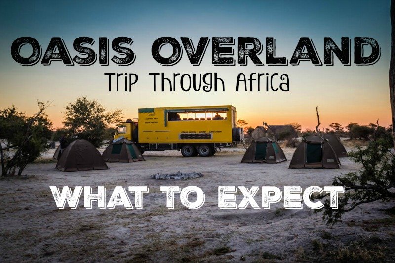 九游体育官网-荷兰队伍继续引领风潮，以稳健表现夺得胜利的简单介绍